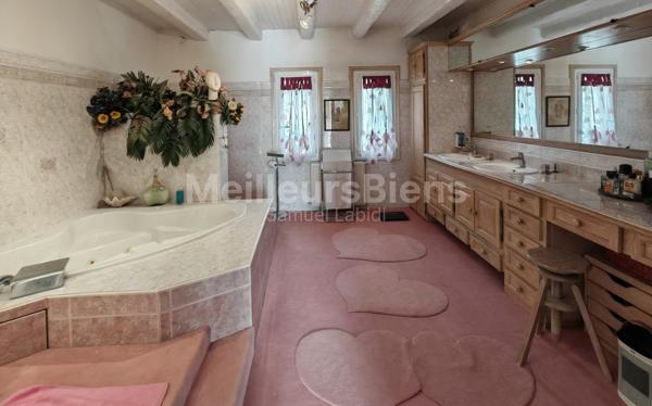 Magnifique propriéte 675 m²env+piscine+7000m² jardin+22hec forêt