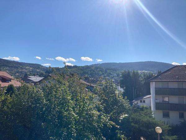 Location Appartement 60 m² - Gérardmer 88400