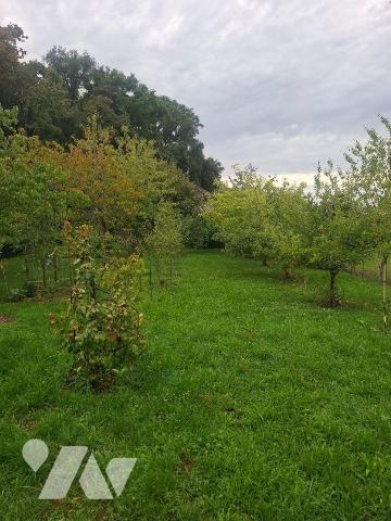 Terrain à Vendre à Fussy (18110) en Cher (18)

Ce terrain à bâtir présente une surface totale...