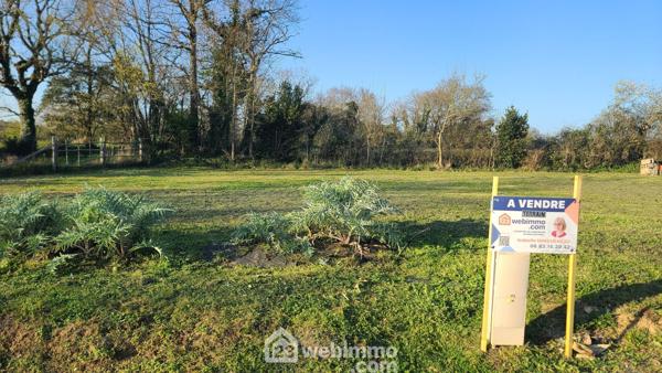 Terrain à bâtir 443 m² à Talmont-Saint-Hilaire 85440