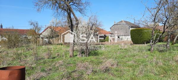 Deux terrains pour 2090 m² + trois parcelles boisées !