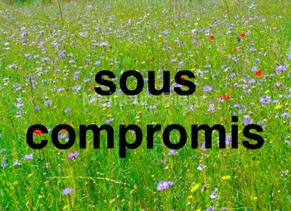 TERRAIN A BATIR DE 568 M2 LIBRE DE CONSTRUCTEUR. Budget 112 500 €