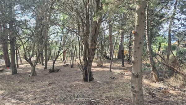 Terrain Ouveillan 842 m2 arboré et vue agréable