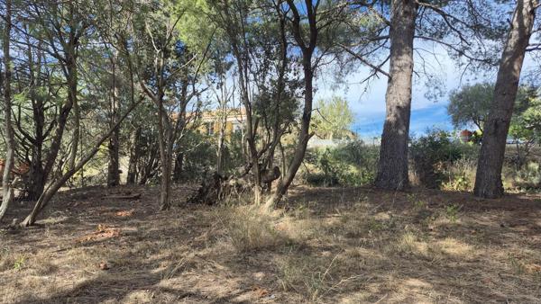 Terrain Ouveillan 842 m2 arboré et vue agréable