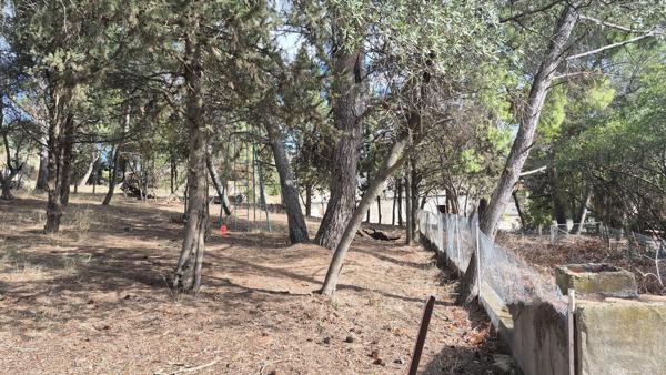 Terrain Ouveillan 842 m2 arboré et vue agréable