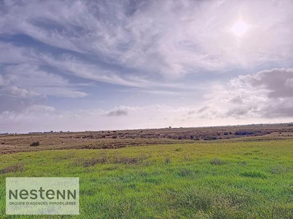 Maison à vendre à Beauvoir sur Mer - 5 pièces, 4 chambres