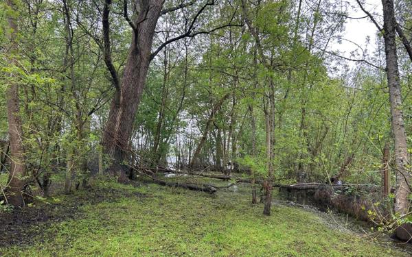 Maison à vendre    4 pièces • 88 m2 Saint-Joachim