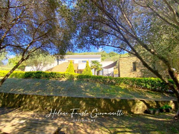 Propriété 8 pièces - 263 m2 - OLETTA