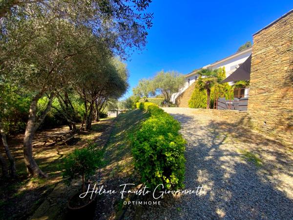 Propriété 8 pièces - 263 m2 - OLETTA