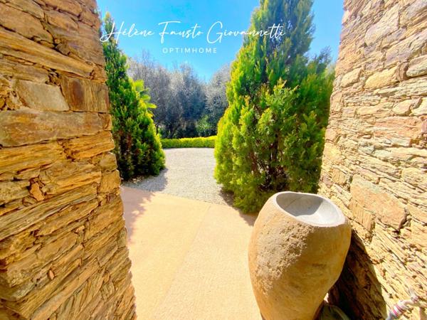 Propriété 8 pièces - 263 m2 - OLETTA