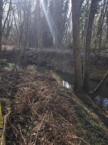 Maison accolée avec jardin