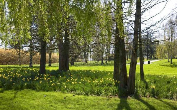 Appartement à vendre    4 pièces •  Villiers-sur-Marne