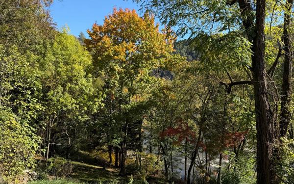 Maison à vendre    8 pièces • 191 m2 Vals-les-Bains