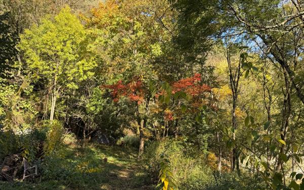 Maison à vendre    8 pièces • 191 m2 Vals-les-Bains