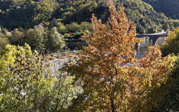 Maison à vendre    8 pièces • 191 m2 Vals-les-Bains