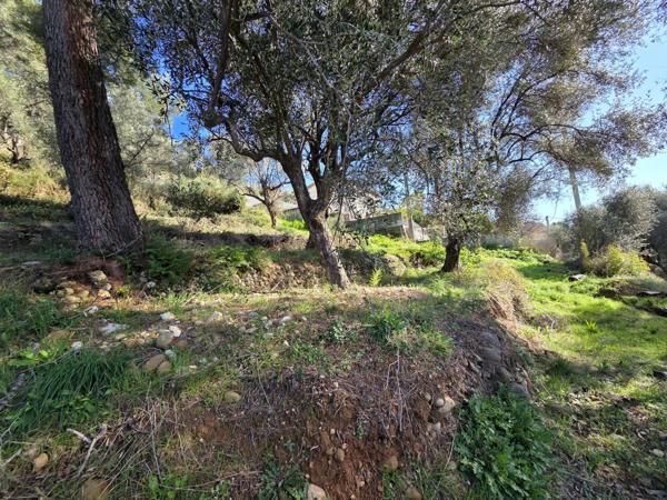 Saint-Martin-du-Var (06670) Saint Martin du Var : Terrain de caractère de 1000 m2 - position dominante exposé Ouest