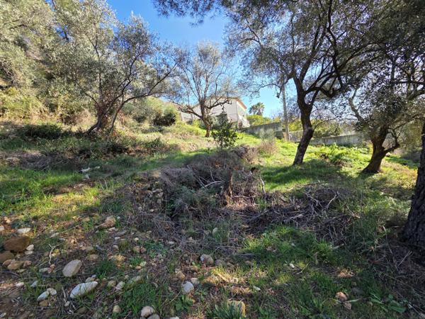 Saint-Martin-du-Var (06670) Saint Martin du Var : Terrain de caractère de 1000 m2 - position dominante exposé Ouest