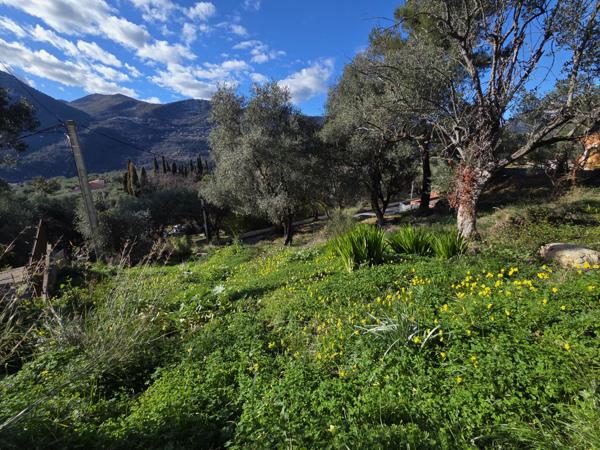 Saint-Martin-du-Var (06670) Saint Martin du Var : Terrain de caractère de 1000 m2 - position dominante exposé Ouest