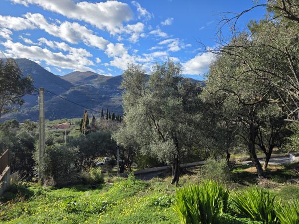 Saint-Martin-du-Var (06670) Saint Martin du Var : Terrain de caractère de 1000 m2 - position dominante exposé Ouest