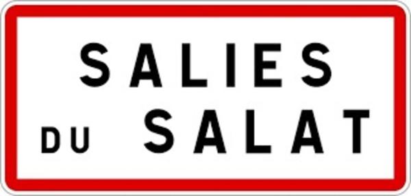 « INDIA » Maison T9 –  6 chambres – 205 m² + 180m² dépendances - sur terrain 3320 m² à SALIES-DU-SALAT