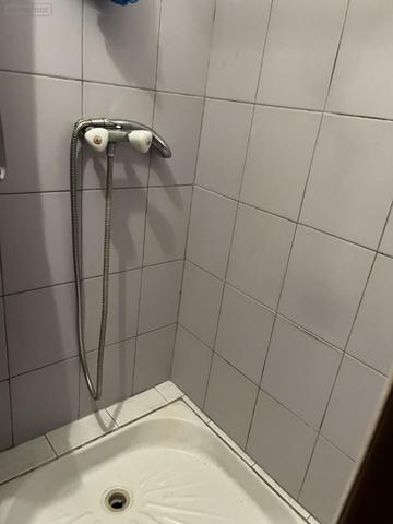 Maison à vendre à Bourbon-Lancy en Saône-et-Loire (71140), ref : NDPER