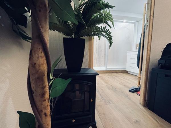Magnifique appartement T2 de 45 m²  en rez-de-chaussée en centre ville
