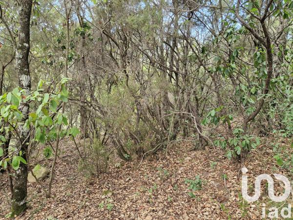 Terrain à vendre 2 420 m² Ocana