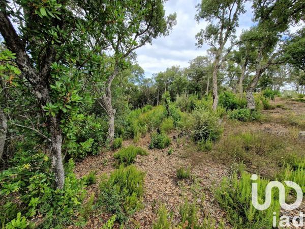 Terrain à vendre 2 420 m² Ocana