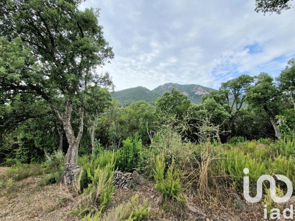 Terrain à vendre 2 420 m² Ocana