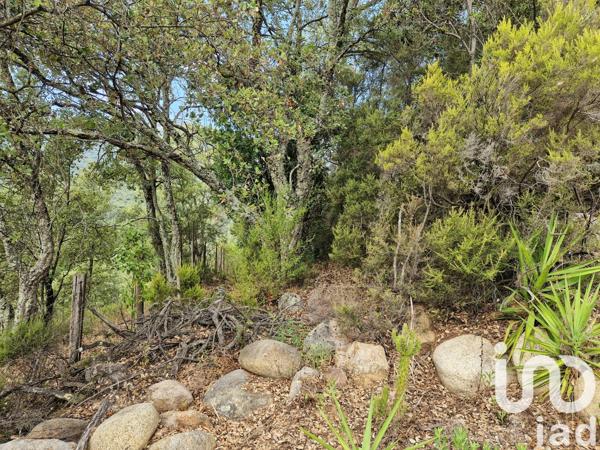 Terrain à vendre 2 420 m² Ocana