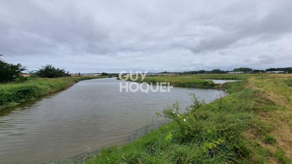 Terrain de loisirs à vendre : votre coin de paradis à Saint Hilaire de Riez !