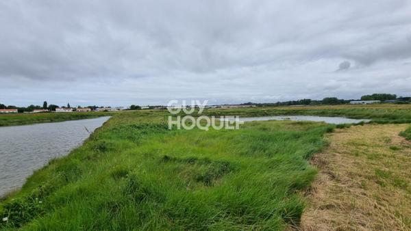 Terrain de loisirs à vendre : votre coin de paradis à Saint Hilaire de Riez !