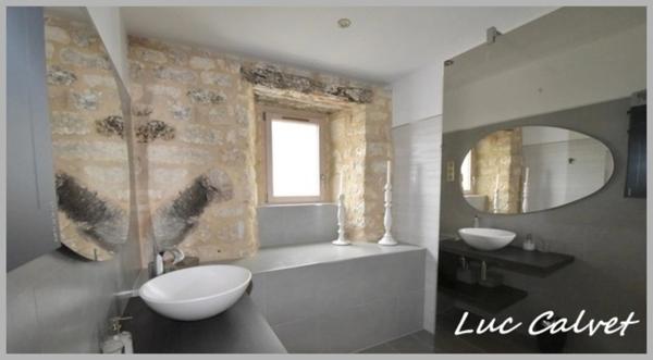 À Vendre : Propriété d’Exception à Cahuzac-sur-Vère (81)