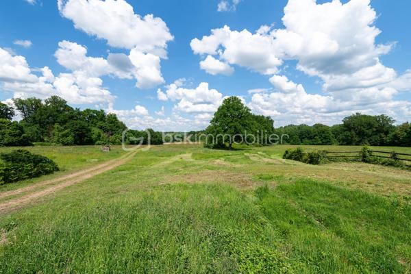 Au cœur d’un environnement naturel préservé, à proximité de Seiches-sur-le-Loir, découvrez cette propriété rare d’environ 5 hectares, composée de trois bâtiments principaux aux prestations de qualité et au fort potentiel d’exploitation.
Située à proximité de Seiches-sur-le-Loir, elle se prête parfaitement à une activité de gîtes, de chambres d’hôtes, d’hivernage, de gardiennage et de stockage (voitures, camping-cars, caravanes, bateaux) pour les particuliers et les professionnels.
La maison principale, d’environ 245 m² habitables, séduit par ses volumes généreux et sa luminosité.
Elle s’ouvre sur une spacieuse entrée avec espace bureau, une cuisine ouverte entièrement aménagée, ainsi qu’un vaste salon-séjour agrémenté d’une cheminée d’époque et de tommettes anciennes, conférant à l’ensemble une atmosphère chaleureuse et conviviale.
Côté nuit, une suite parentale en rez-de-chaussée offre confort et praticité.
À l’étage, une belle mezzanine avec charpente apparente dessert une chambre avec dressing et salle de bains, ainsi que deux autres chambres disposant également d’une salle de bains avec douche.
Un garage d’environ 42 m² et une lingerie spacieuse complètent les prestations de la maison.
La première dépendance (100 m²), accueille un appartement de type 2 indépendant d’environ 50 m² avec sa véranda baignée de lumière, idéal pour accueillir des invités ou pour un usage locatif.
La deuxième dépendance, véritable atout de la propriété, propose deux salles de réception totalisant environ 149 m², parfaites pour des soirées privées. L’étage aménagé offre de nombreuses possibilités d’hébergement.
Possibilités :
-	Extensions sur les bâtiments existants. 
-	Piste d’entrainement pour chevaux.
-	Manège ouvert (sans toit).
-	Dépendances offrant du potentiel supplémentaire pour des gîtes ou chambres d’hôtes.

Les espaces extérieurs sont tout aussi remarquables, avec une piscine creusée, idéale pour les journées estivales. Des hangars ainsi que des équipements pour chevaux font de ce lieu un environnement privilégié pour les amateurs d’équitation ou les projets à vocation agricole.
Grâce à un accès routier facile, cet ensemble s’adapte parfaitement à une activité de gîtes et de chambres d’hôtes, au calme, dans un cadre naturel d’exception. 
Un bien rare, calme, avec une accessibilité et polyvalence qui font de cette propriété, une opportunité unique pour un projet de vie ou un investissement à fort rendement.
Possibilité d’acquérir plus de terre…

A 5 minutes de Seiches-sur-le-loir, à 25 minutes d’Angers, à 27 minutes de la Flèche.  

Ce bien bénéficie d’une situation exceptionnelle malgré son emplacement central. Il est situé à 7 minutes de l’autoroute A11 Paris-Nantes, A87 Cholet et seulement 25 minutes de la gare TGV.

CLASSE ÉNERGIE : D / CLASSE CLIMAT : D
« Montant moyen estimé des dépenses annuelles énergie pour un usage standard, établi à partir prix moyens des énergies indexés sur les années 2021, 2022 et 2023 (abonnements compris) ».

Contact Espaces Atypiques : Eddy MICHEL - 06 28 13 41 22
Les honoraires sont à la charge du vendeur.

Les informations sur les risques auxquels ce bien est exposé sont disponibles sur le site Géorisques pour les zones concernées : www.georisques.gouv.fr