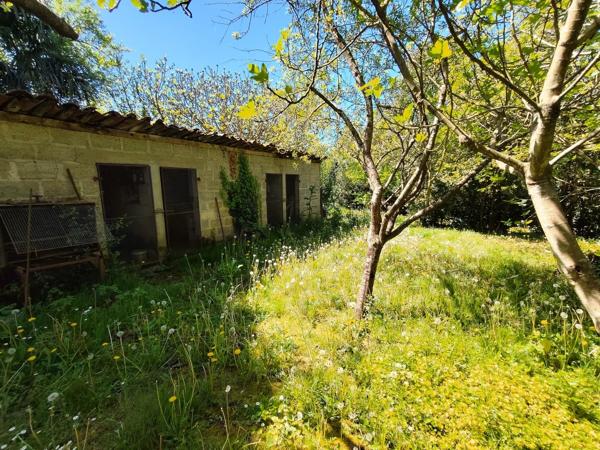 🌟 UN DOMAINE HISTORIQUE UNIQUE 🌟