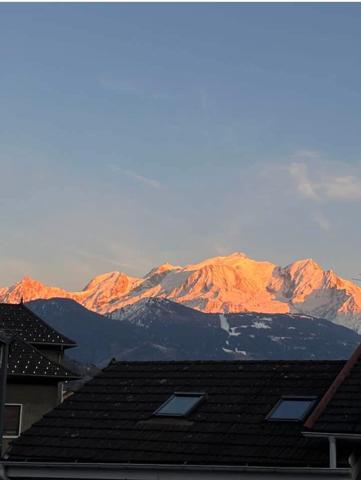 Bel appartement 2 chambres-terrasse de 31 m2 vue Mont Blanc