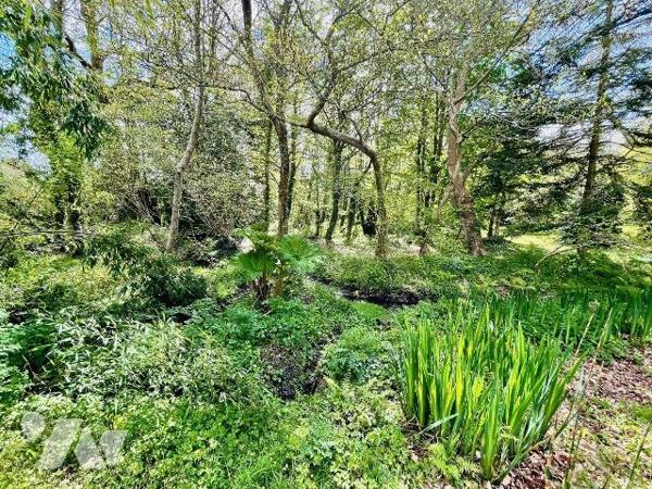 Longère à Vendre à Ploumilliau (22300) 
Dans un cadre verdoyant et reposant, a deux pas du bou...