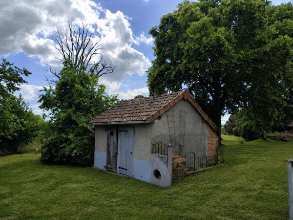 Maison avec grange, dépendances et  grand terrain