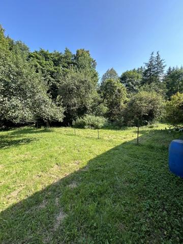 Vente Ferme 5 pièces 130 m2 à Saint-Dié-des-Vosges