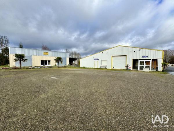 Murs commerciaux  à vendre 1 200 m² Vernantes