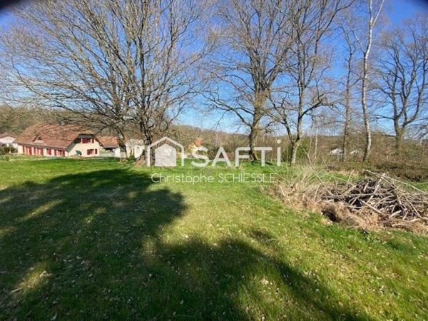 Terrain à Bâtir de 1550 M2 Borné et viabilisé