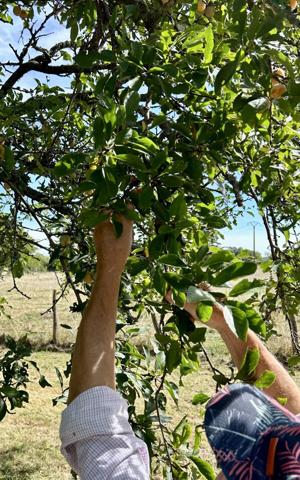 Vente Ferme 7 pièces 250 m2 à Sermoise-sur-Loire
