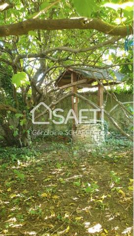 Mas en pierre de 240 m2 , jardin de 2430m2, Véranda, Garages