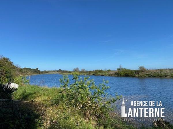 SAINT-PIERRE D'OLERON (CÔTE EST) - DEUX MAISONS DE 84 M² et 63 M² - TERRAIN DE 2625 M²