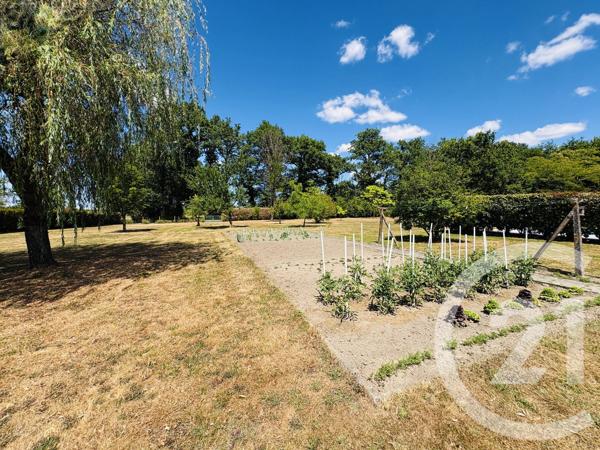Maison à vendre  7 pièces - 155,32 m 2   PEYRAT DE BELLAC  - 87