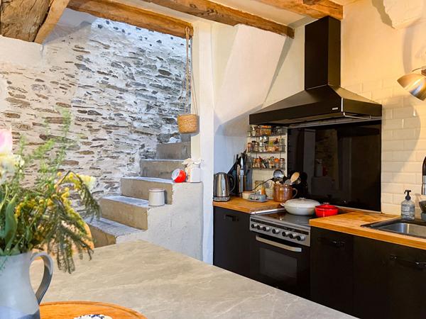 A Vendre, Maison, 7 pièces, 4 chambres, 143m2 habitable, 160m2 au sol, Coeur de Doutre, Angers, Grenier aménageable, Dépendance, Jardin