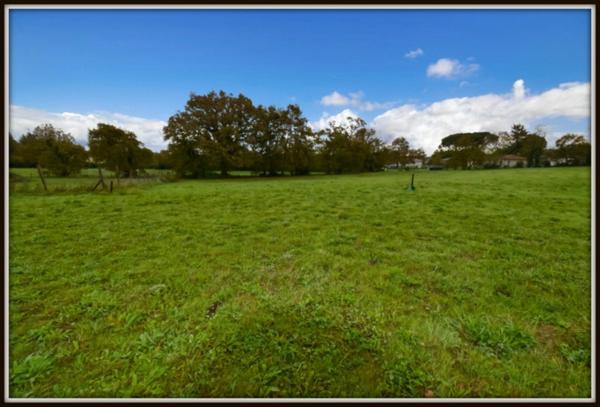 PROCHE PEYREHORADE ( Commune de Saint Cricq du Gave ) - TERRAIN A BATIR - 943 m2
