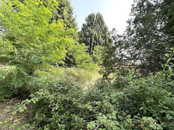 A saisir Magnifique terrain