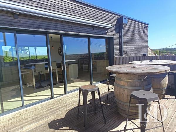 Bourgogne: Propriété avec vignoble