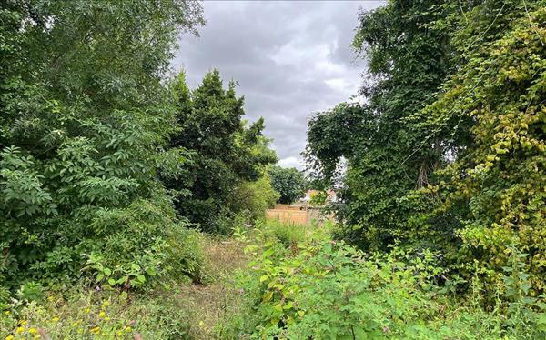 Terrain à vendre |  Aigrefeuille-d'Aunis |  493 m²